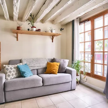 Superb 2 Bedroom Flat In Le Marais Neighborhood Apartment *