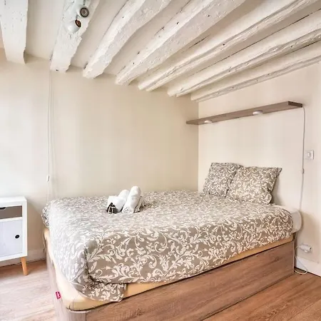 Superb 2 Bedroom Flat In Le Marais Neighborhood Apartment Paris
