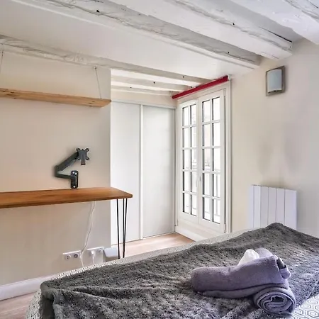 Superb 2 Bedroom Flat In Le Marais Neighborhood * Parigi